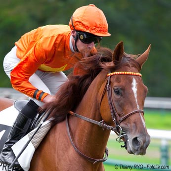 La couleur caractéristique du couplé pmu est le orange, la couleur que porte ce jockey sur sa casaque.