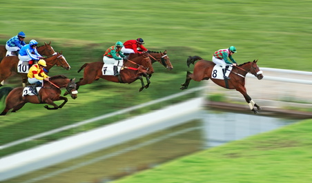 Franchissement de haie par 6 partants d'une course de chevaux support du jeu couplé